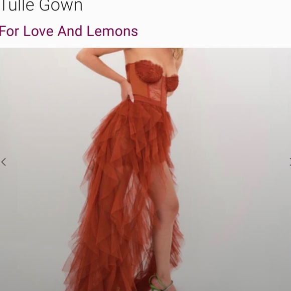 🔥 GORGEOUS For Love & Lemons X REVOLVE Bustier Gown (Rust)🔥 - Picture 4 of 10